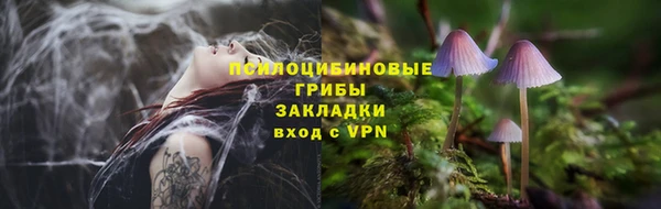 трава Бугульма