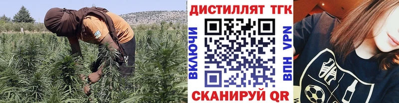 ссылка на мегу как войти  Вельск  ТГК жижа 