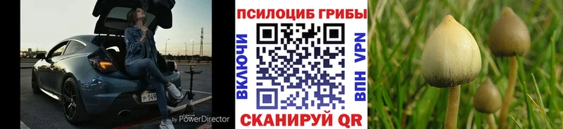 Галлюциногенные грибы прущие грибы  Вельск 